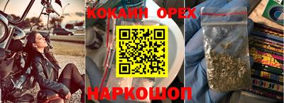 амф Кимры