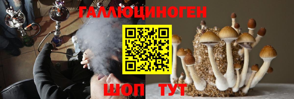 Галлюциногенные грибы Magic Shrooms Кувандык